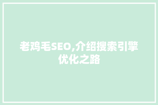 老鸡毛SEO,介绍搜索引擎优化之路 网站建设公司