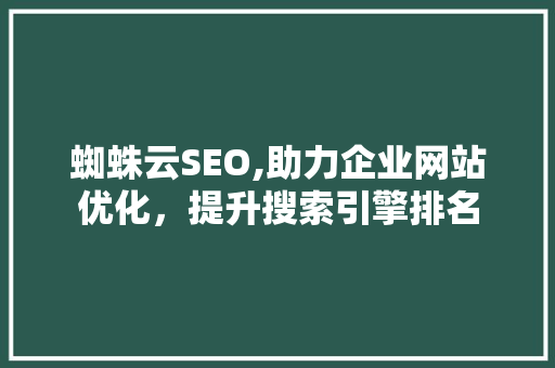 蜘蛛云SEO,助力企业网站优化，提升搜索引擎排名 神马SEO