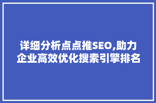 详细分析点点推SEO,助力企业高效优化搜索引擎排名 百度SEO