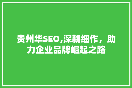 贵州华SEO,深耕细作，助力企业品牌崛起之路