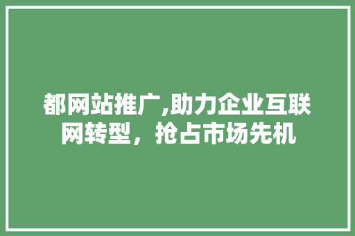 都网站推广,助力企业互联网转型，抢占市场先机 网站建设公司