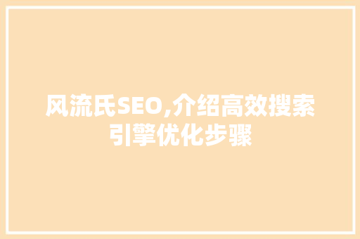 风流氏SEO,介绍高效搜索引擎优化步骤 网站建设公司