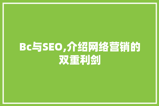 Bc与SEO,介绍网络营销的双重利剑 百度SEO