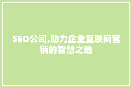 SEO公司,助力企业互联网营销的智慧之选 SEO关键词