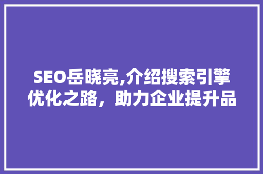 SEO岳晓亮,介绍搜索引擎优化之路，助力企业提升品牌影响力 神马SEO