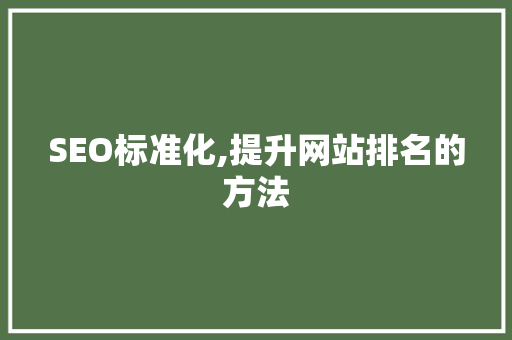 SEO标准化,提升网站排名的方法 百度SEO