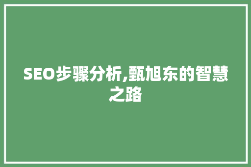 SEO步骤分析,甄旭东的智慧之路 必应SEO