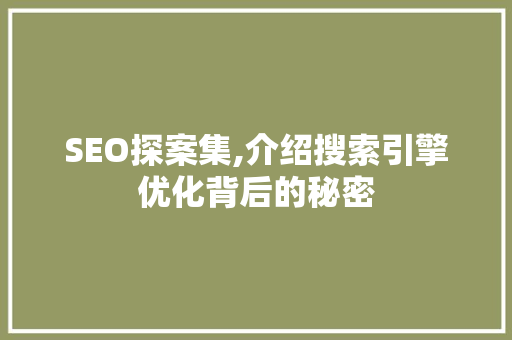 SEO探案集,介绍搜索引擎优化背后的秘密 网站建设公司