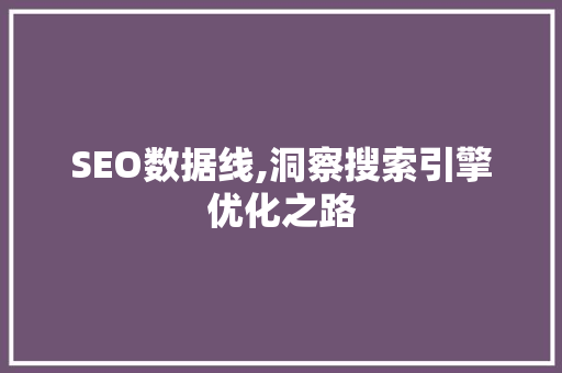 SEO数据线,洞察搜索引擎优化之路 网站建设公司