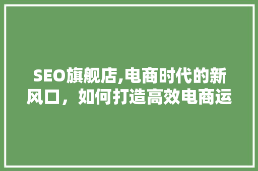 SEO旗舰店,电商时代的新风口，如何打造高效电商运营步骤 必应SEO