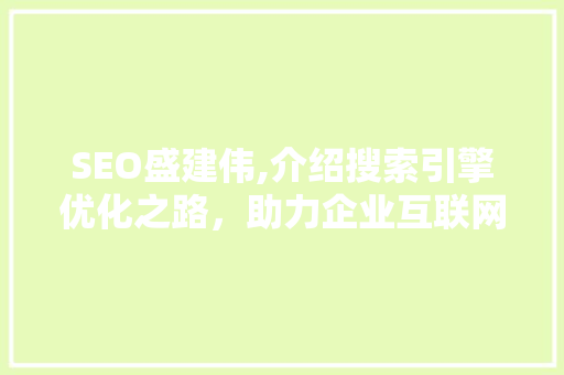 SEO盛建伟,介绍搜索引擎优化之路，助力企业互联网营销腾飞