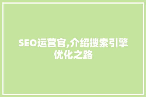 SEO运营官,介绍搜索引擎优化之路 百度SEO