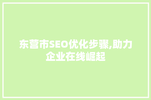 东营市SEO优化步骤,助力企业在线崛起 神马SEO