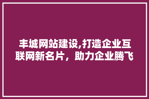 丰城网站建设,打造企业互联网新名片，助力企业腾飞 百度SEO