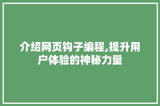 介绍网页钩子编程,提升用户体验的神秘力量 必应SEO