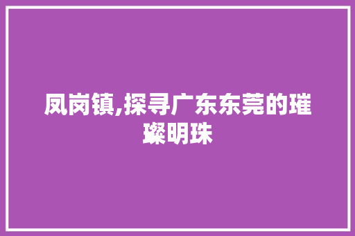 凤岗镇,探寻广东东莞的璀璨明珠 网站建设公司