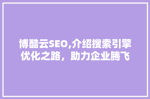 博酷云SEO,介绍搜索引擎优化之路，助力企业腾飞 SEO关键词