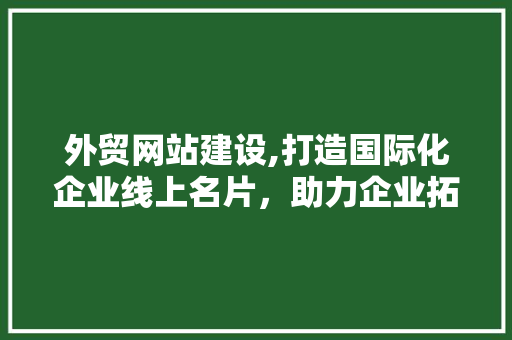 外贸网站建设,打造国际化企业线上名片，助力企业拓展全球市场 百度SEO