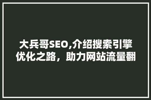 大兵哥SEO,介绍搜索引擎优化之路，助力网站流量翻倍 网站建设公司