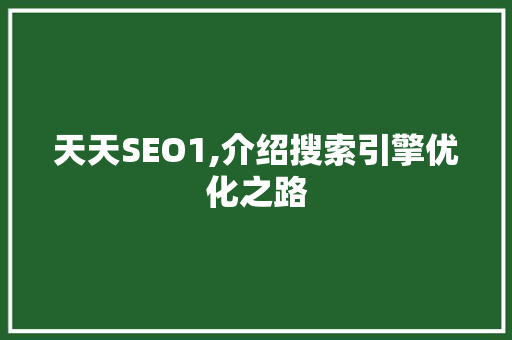天天SEO1,介绍搜索引擎优化之路