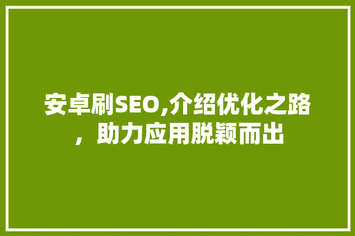 安卓刷SEO,介绍优化之路，助力应用脱颖而出 百度SEO