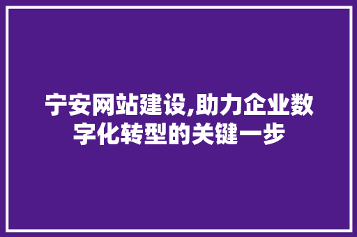 宁安网站建设,助力企业数字化转型的关键一步 百度SEO