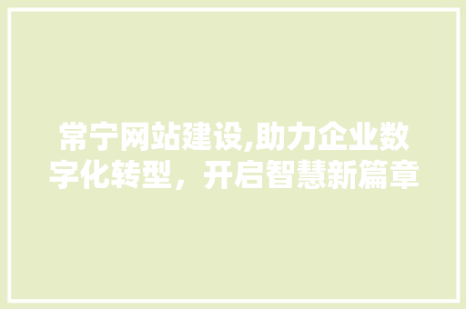常宁网站建设,助力企业数字化转型，开启智慧新篇章 SEO关键词