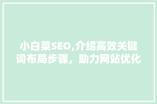 小白菜SEO,介绍高效关键词布局步骤，助力网站优化 必应SEO