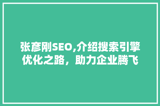 张彦刚SEO,介绍搜索引擎优化之路，助力企业腾飞 神马SEO