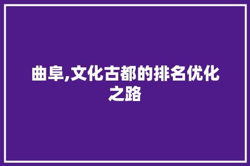 曲阜,文化古都的排名优化之路 神马SEO