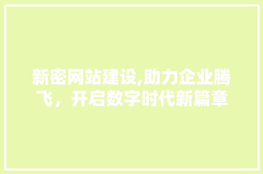 新密网站建设,助力企业腾飞，开启数字时代新篇章 网站建设公司