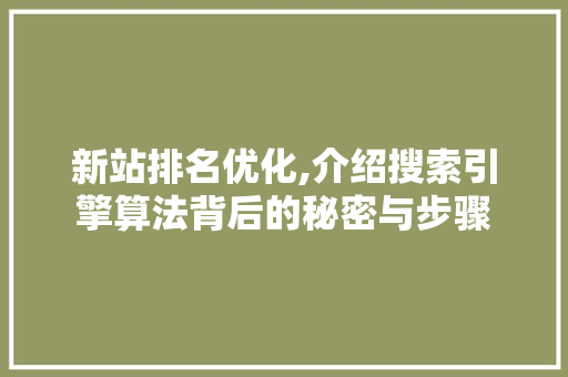 新站排名优化,介绍搜索引擎算法背后的秘密与步骤 神马SEO
