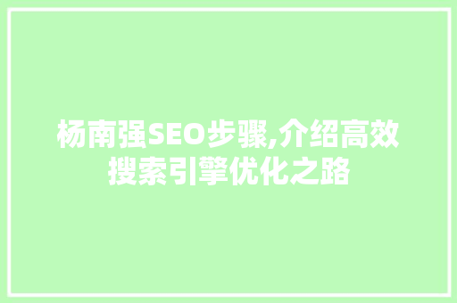 杨南强SEO步骤,介绍高效搜索引擎优化之路