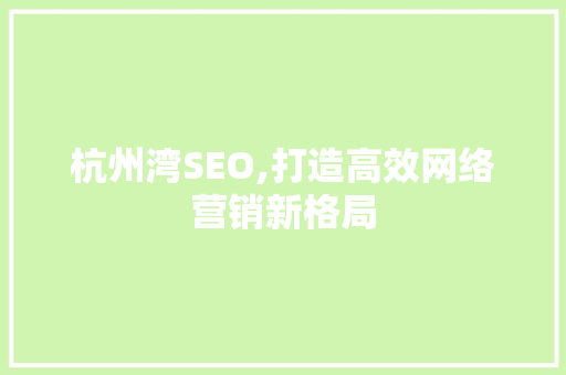 杭州湾SEO,打造高效网络营销新格局 网站建设公司