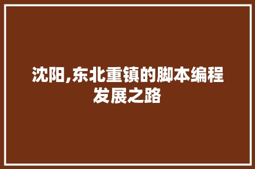 沈阳,东北重镇的脚本编程发展之路 百度SEO