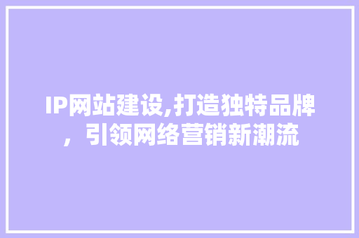 IP网站建设,打造独特品牌，引领网络营销新潮流 网站建设公司