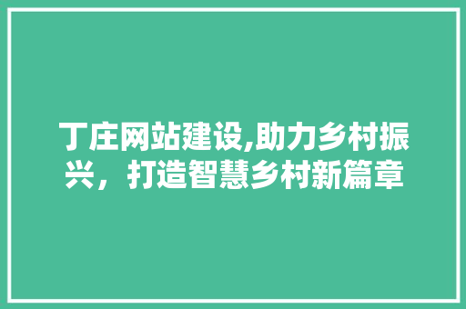 丁庄网站建设,助力乡村振兴，打造智慧乡村新篇章 SEO关键词