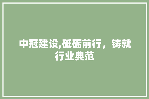 中冠建设,砥砺前行，铸就行业典范 搜狗SEO