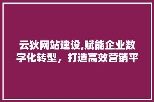 云狄网站建设,赋能企业数字化转型，打造高效营销平台 网站建设公司