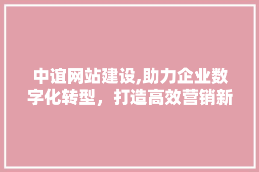 中谊网站建设,助力企业数字化转型，打造高效营销新平台 SEO关键词