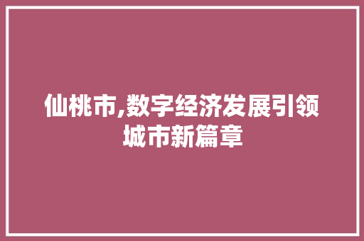 仙桃市,数字经济发展引领城市新篇章 网站建设公司