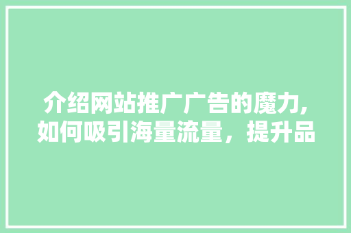 介绍网站推广广告的魔力,如何吸引海量流量，提升品牌知名度 SEO关键词