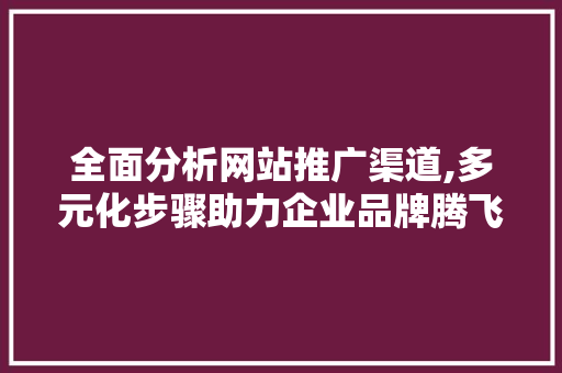 全面分析网站推广渠道,多元化步骤助力企业品牌腾飞 SEO关键词