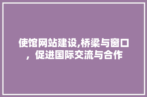 使馆网站建设,桥梁与窗口，促进国际交流与合作 网站建设公司