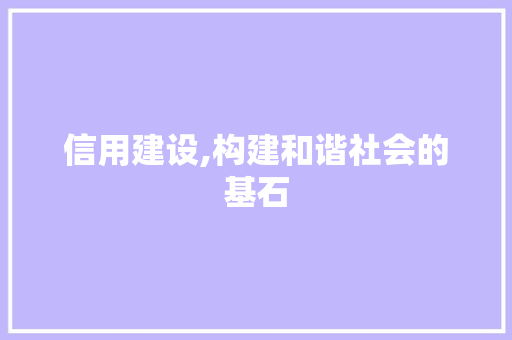 信用建设,构建和谐社会的基石 必应SEO