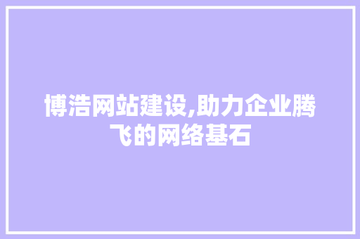 博浩网站建设,助力企业腾飞的网络基石 必应SEO
