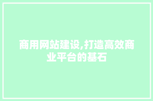商用网站建设,打造高效商业平台的基石