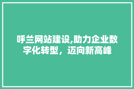 呼兰网站建设,助力企业数字化转型，迈向新高峰 百度SEO