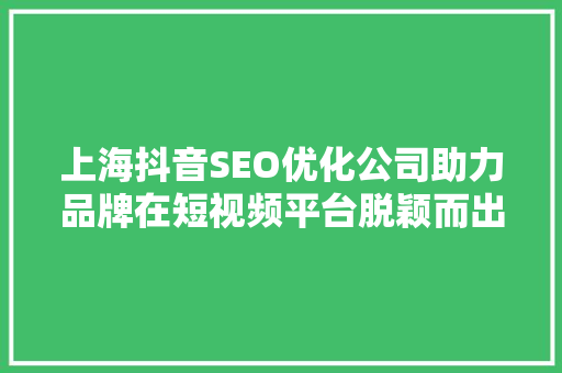 上海抖音SEO优化公司助力品牌在短视频平台脱颖而出 SEO关键词