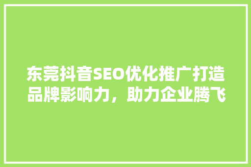 东莞抖音SEO优化推广打造品牌影响力，助力企业腾飞 搜狗SEO